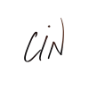 500x500-cin